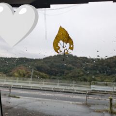 こち日記 #6 「秋をかんじる」