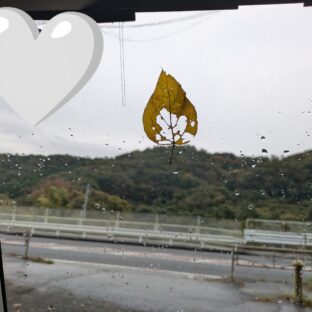 こち日記 #6 「秋をかんじる」