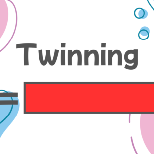 How to say “Twinning” in Japanese?