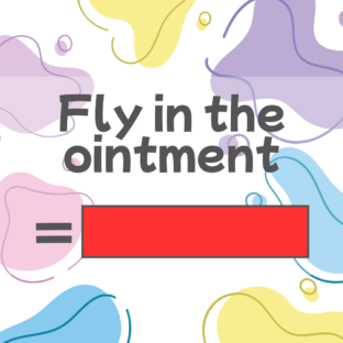 How to say “Fly in the ointment” in Japanese?