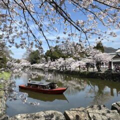 Beyond Kyoto: Discover Japan's 