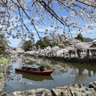 Beyond Kyoto: Discover Japan’s “Little Kyotos” — 5 Hidden Gems for an Authentic Historical Escape